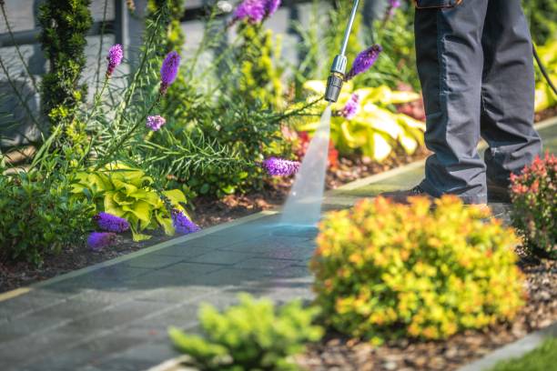 Best Dumpster Area Cleaning  in Eldorado, TX